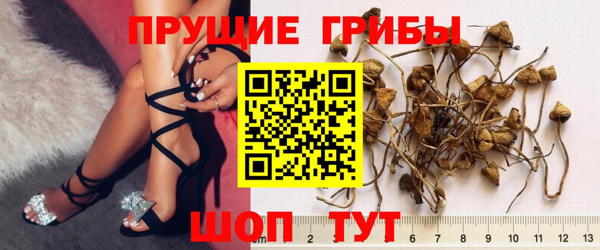 Псилоцибиновые грибы MAGIC MUSHROOMS Когалым